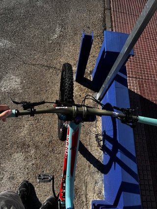 Bicicleta Downhill Specialized