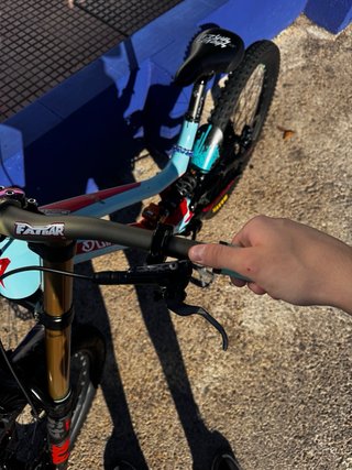 Bicicleta Downhill Specialized