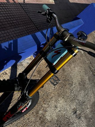 Bicicleta Downhill Specialized