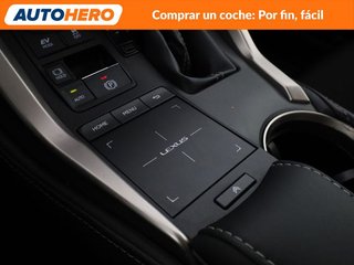 Lexus NX NX 300h Business