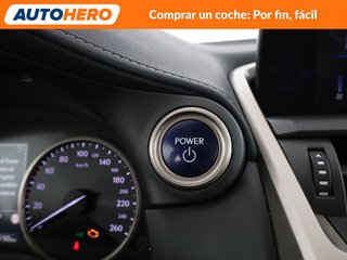 Lexus NX NX 300h Business