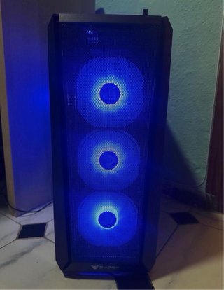 Torre Gaming y Monitor