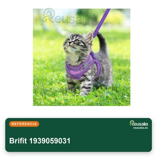 Brifit arnés malla suave gato paseo