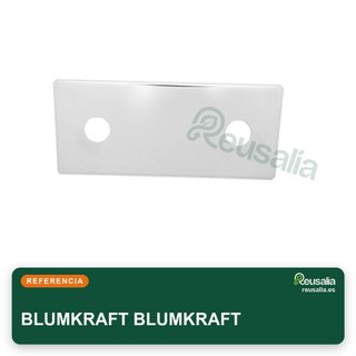 Coperchio in platino in acciaio inossidabile per rubinetto a parete