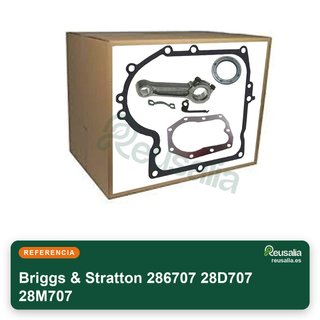 Briggs & Stratton 286707 28D707 28M707 Biella e accessori