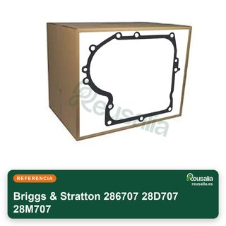 Briggs & Stratton 286707 28D707 28M707 Biella e accessori