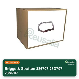 Briggs & Stratton 286707 28D707 28M707 Biella e accessori