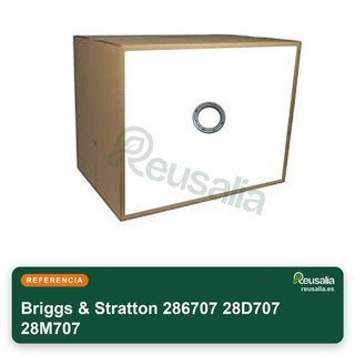 Briggs & Stratton 286707 28D707 28M707 Biella e accessori
