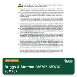 Briggs & Stratton 286707 28D707 28M707 Biella e accessori