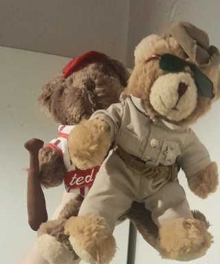 Peluche Teddy's collecion bear