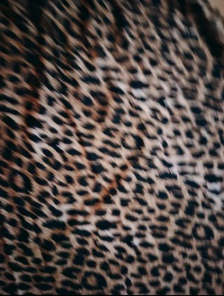 Vestido Zara Animal Print Talla M