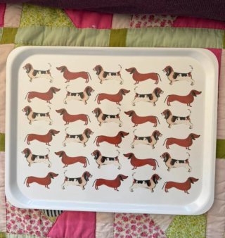 Bandeja decorativa perros salchicha