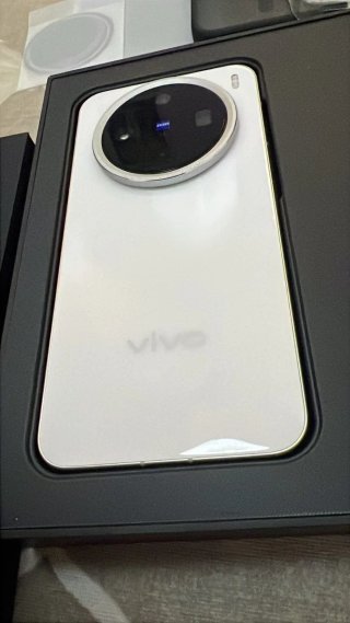 Vivo X200 Pro mini Caricabatterie 80W