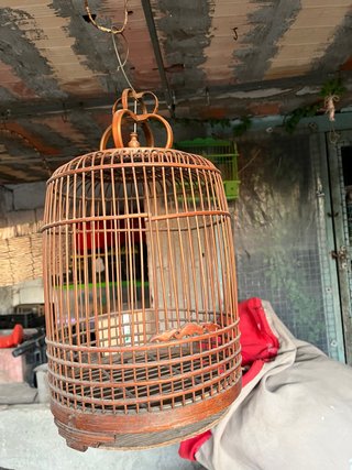 Jaula deplastico y madera para pájaros