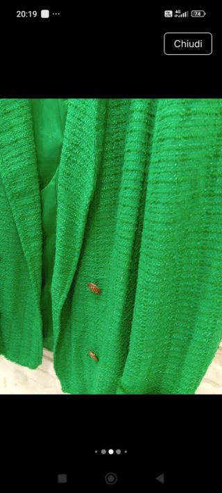 Blazer Giacca Donna Zara Verde