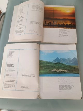 Coppia di libri per scuole elementari storici
