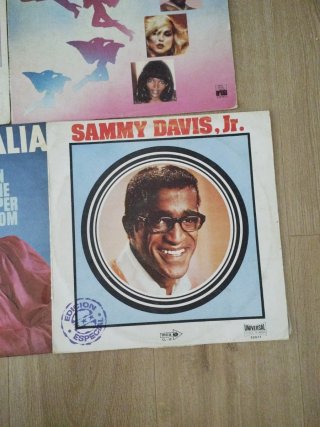 Lote de 10 Vinilos Varios Artistas discos lps