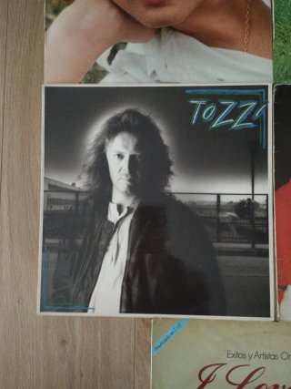Lote 5 discos de Vinilo Sandro Giacobbe, Tozzi