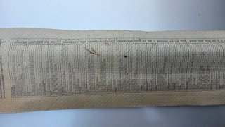 Tendina Rullo Lunotto Filtravedo 110cm