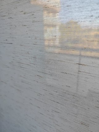 Tende avvolgibili beige