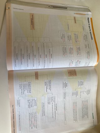 Libro de lengua y literatura 4º eso.