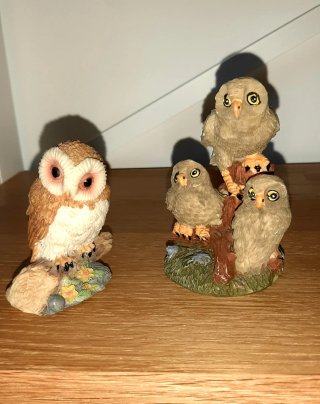 Figure di gufi portafortuna