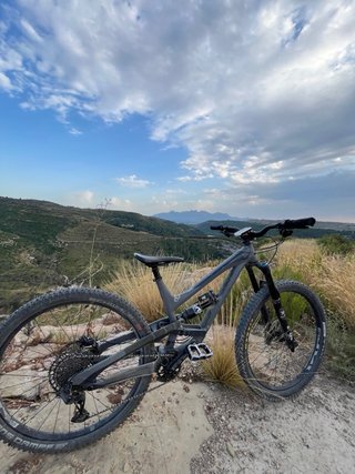 YT Capra 29 AL Comp