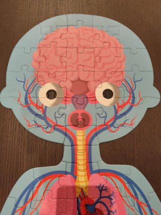 Puzzle Janod El Cuerpo Humano 4 Piezas +5
