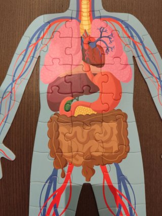 Puzzle Janod El Cuerpo Humano 4 Piezas +5