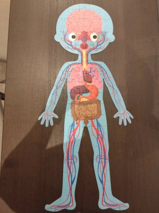 Puzzle Janod El Cuerpo Humano 4 Piezas +5