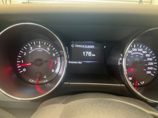 Ford Mustang 5.0 Ti-VCT V8 GT