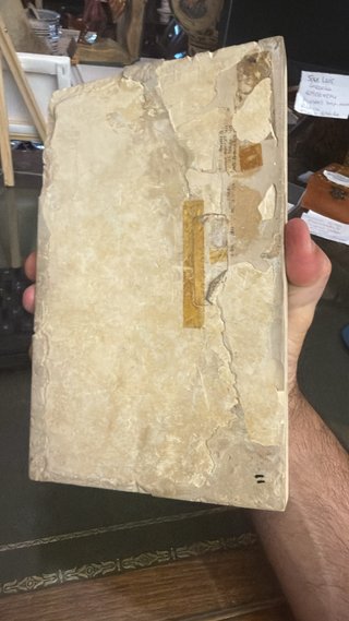 FÓSIL DE PEZ EN PIEDRA DESCONOZCO