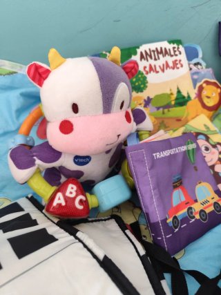 Lote Juguetes Bebé Educativos y Divertidos