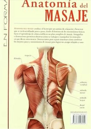 Masajes profesionales