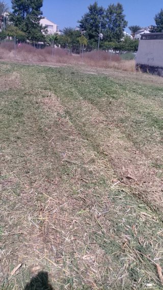 Desbroce de parcelas con tractor