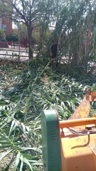 Desbroce de parcelas con tractor