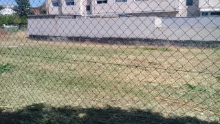 Desbroce de parcelas con tractor