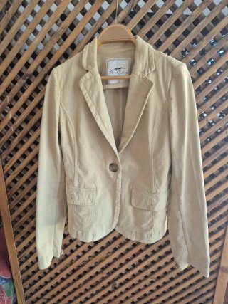 Chaqueta Thomas Burberry Beige