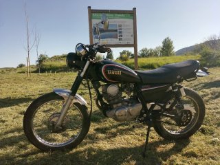 Yamaha SR 250 Scrambler