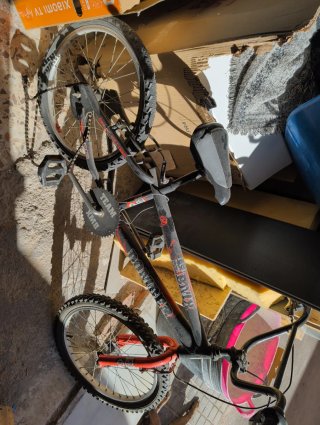 Bicicleta BMX TEAM
