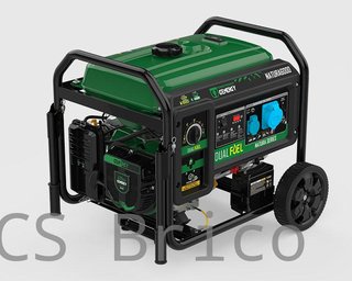 Generador Dual Propano - Gasolina NATURA 5500W - 230V