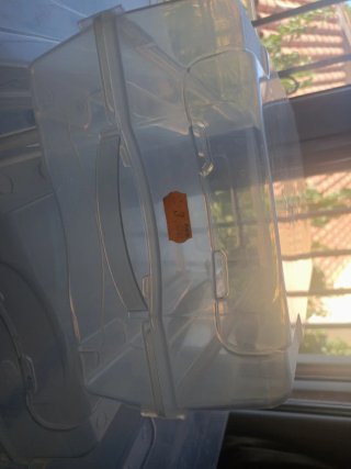 Lote 7 Cajas transparentes para almacenar lo que q