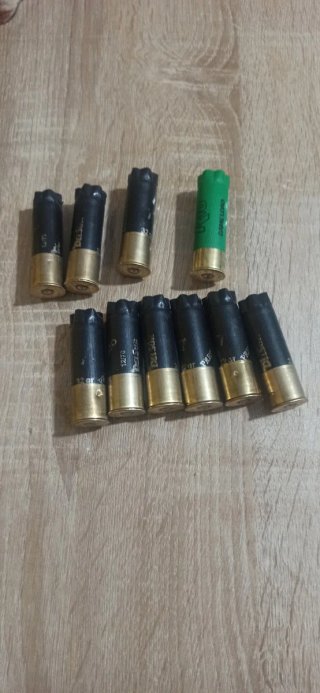 Cartuchos vacíos 12/70 (10 unidades)