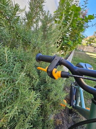 Nuova Bicicleta Bambini 16 Pollici del 14 Luglio 2026
