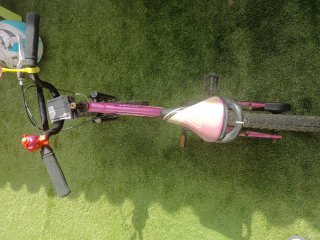 Bicicleta Monty 18 rosa