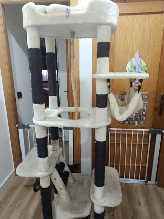 Rascador para gatos con hamaca y túnel