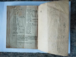 Saggistica scolastica del '900