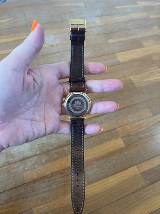 Reloj Festina Dorado y Marrón