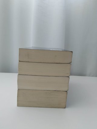 Saga Crepúsculo Completa (4 Libros)