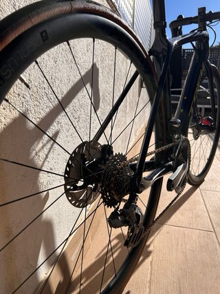 Bici da strada Trek Émonda SLR Disc taglia 50 (S)